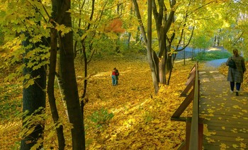 Осень в парке / Воробьёвы горы