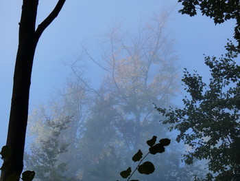 &nbsp; / die Sonne kämpft mit dem Frühnebel