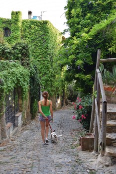 &nbsp; / Young girl with little dog in the green of an old country