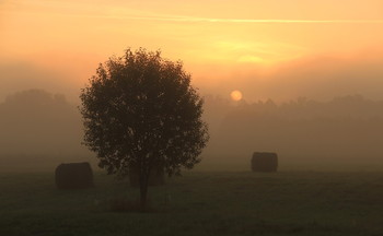 Осенним утром / Туманный рассвет, калужская область