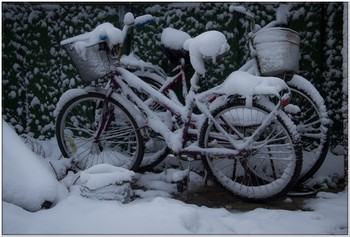 досвидания лето, досвидания..... / первый снег застал велосипеды не на зимнем хранилище....их даже немного жаль..