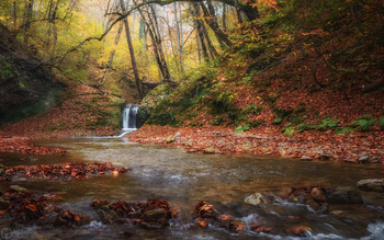 На осеннем Мишоко / Адыгея, горный ручей Мишоко.