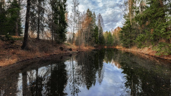 Весеннее пробуждение / ***