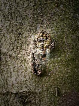 &nbsp; / Wie in einem Film