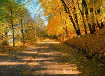 В осеннем парке / Воробьевы горы