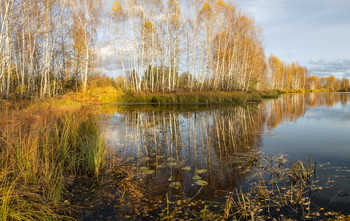 Осенний сюжет / Черная Порза. Октябрьские прогулки