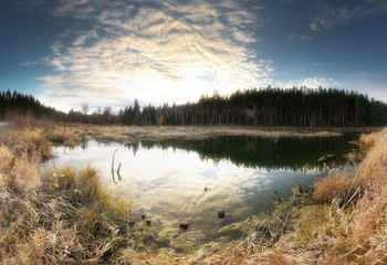 Осень на болоте / Южный Урал