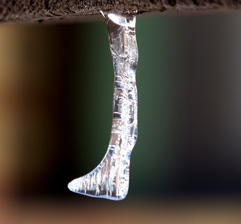 &nbsp; / Water trickled down a plank and froze in place, forming a pattern that resembles a leg
