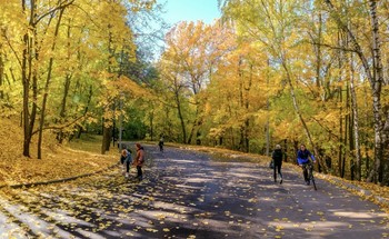 Осень в парке / Воробьевы горы