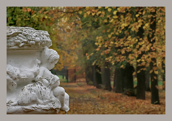 Осенний ноктюрн... / И вдохновляется душа
Шопеновским лиричным ладом...