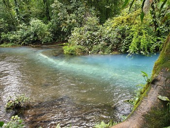 &nbsp; / Rio Celeste River