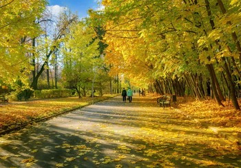 Осень в парке / Воробьевы горы