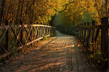 Сказочными тропами. / Осеннее утро в парке Покровское-Стрешево.