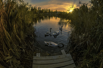 Вечер на озере / Крым