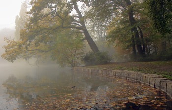 Про туманы / ***