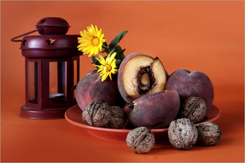 &nbsp; / Натюрморт