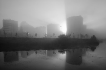 "В бледных туманах..." / Из серии.