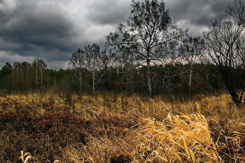 *Октябрьским днём.** / Томская область.