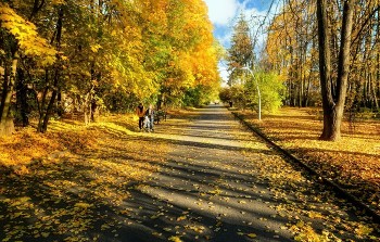 Осень в парке / Воробьевы горы