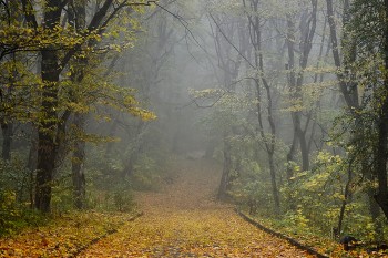В парке туманном........ / Железноводск. Октябрь