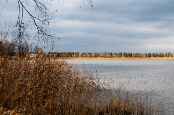 Октябрьские зарисовки. / Красноярский край