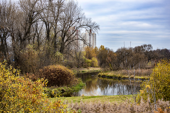 Осенний пейзаж / За городом. На природе.