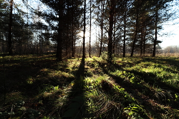 &nbsp; / Осень
