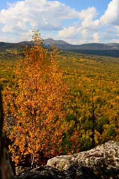 Осень в горах Башкирии. / Осень. Башкирия. Вид с Инзерских зубчаток.