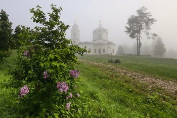 Утренняя прохлада перед жарким днем / Летние туманы в Подмосковье