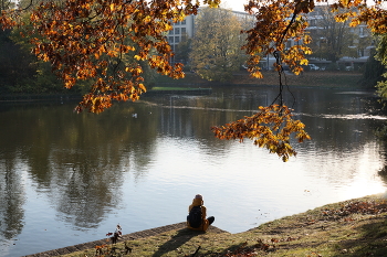 Тишина / Осенний вечер, пруд Цвингертайх у музейного комплекса Цвингер. Дрезден.