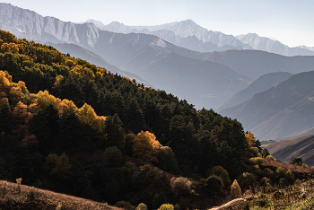 &nbsp; / Осень в горах Ингушетии