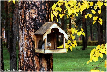 Осень / В парке