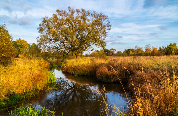 Осень в Подмосковье 02 / 03 октября 2021, Московская область, Дрезна.