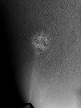 &nbsp; / Seen in dreams