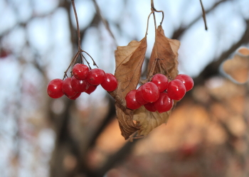 на стыке тепла и холода / на стыке тепла и холода