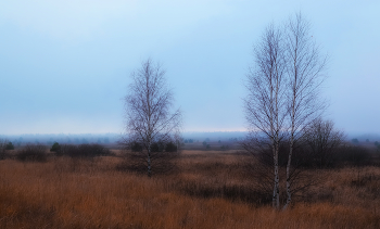 Туман осенний вечер покрывает. / ...