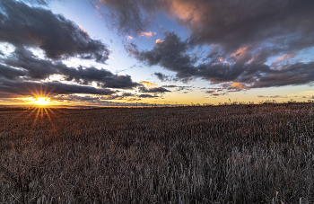 Кубанским вечером / Кубань