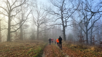 &nbsp; / осеннее утро