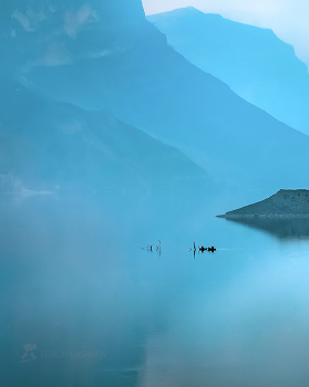 Цвет ноября / Туманное утро на Ирганайском водохранилище. 
Начало ноября, 2021 год. 
Фотопроект «Кавказ без границ».