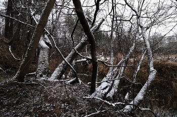  / Осень