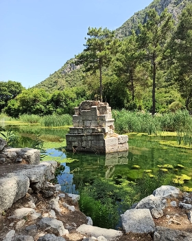 &nbsp; / lake in the forest