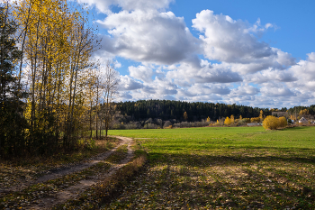 Осенними тропами 9 / В районе станции Лучёса, Витебск.