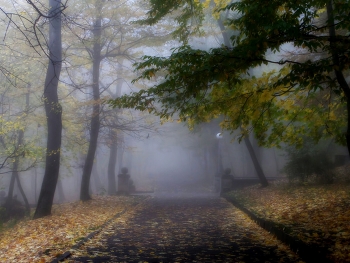 Утро осеннее........... / Железноводск. Октябрь