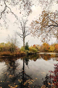 Прекрасное мгновение осени. / ***
