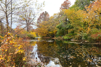 Осенний пейзаж / ***