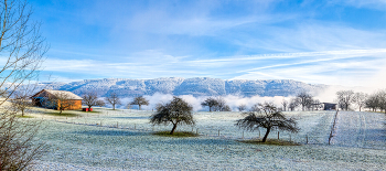 der Winter naht / Reif auf den Wiesen des Dinkelbergs
