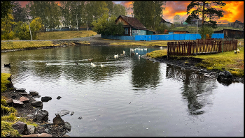 Хорошо в деревне / пруд