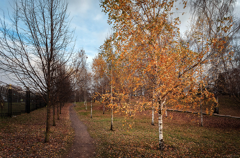 В осеннем парке... / ***