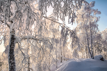 Зимний лес в объятьях тишины / Уральская зима