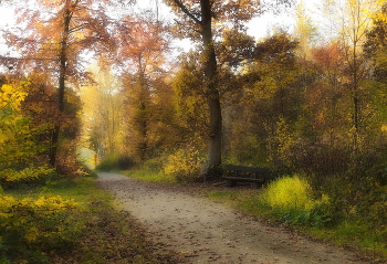 В осеннем раю / Осенними дорогами в лесу .
